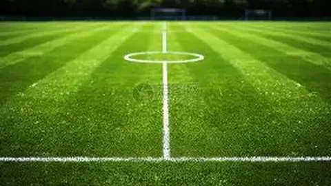 周六020挪超：维京VS莫尔德专家质合分析推荐